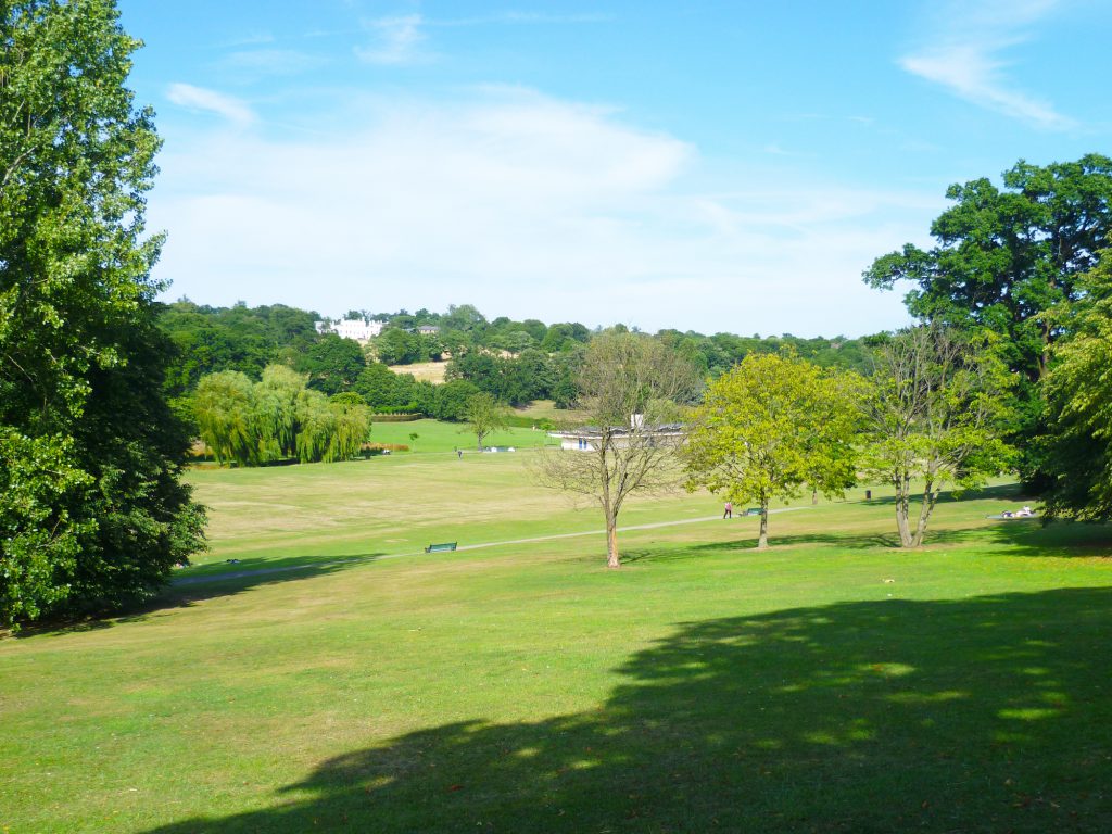 The green and trees of Oak Hill Park, where the cafe sits